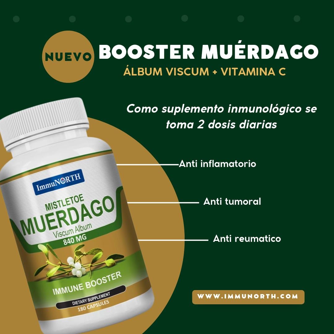 MUERDAGO VISCUM ALBUM L ALEMAN MAS VITAMINA C
