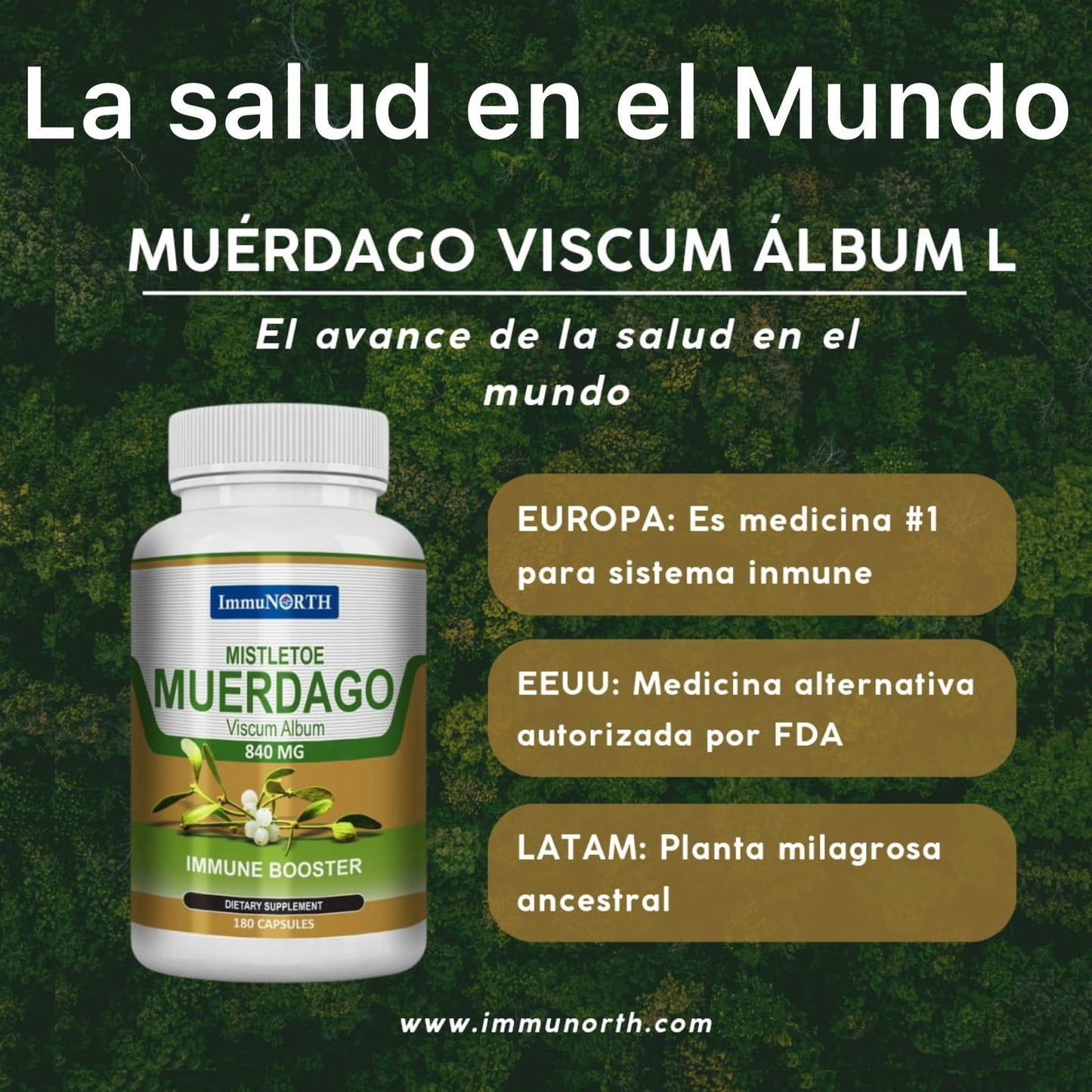 MUERDAGO VISCUM ALBUM L ALEMAN MAS VITAMINA C
